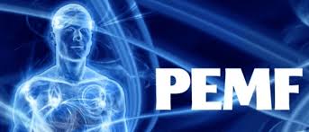 Pulsed Electromagnetic Fields (PEMF)—Physiological Response